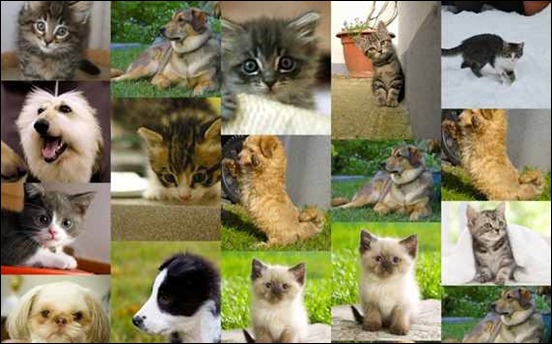 seamless-responsive-photo-grid_thumb